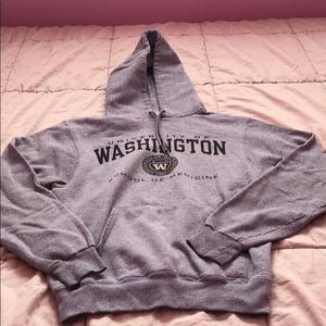 University of Washington Champion Hoodie